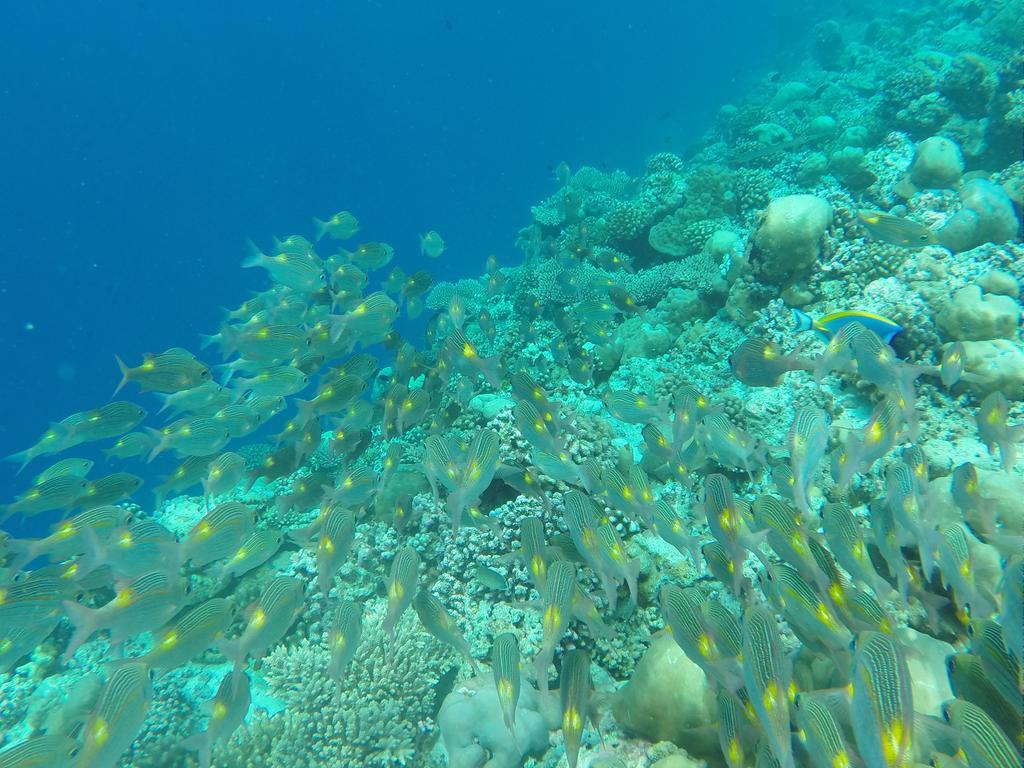 Rasdhoo Ras Beach Inn מראה חיצוני תמונה