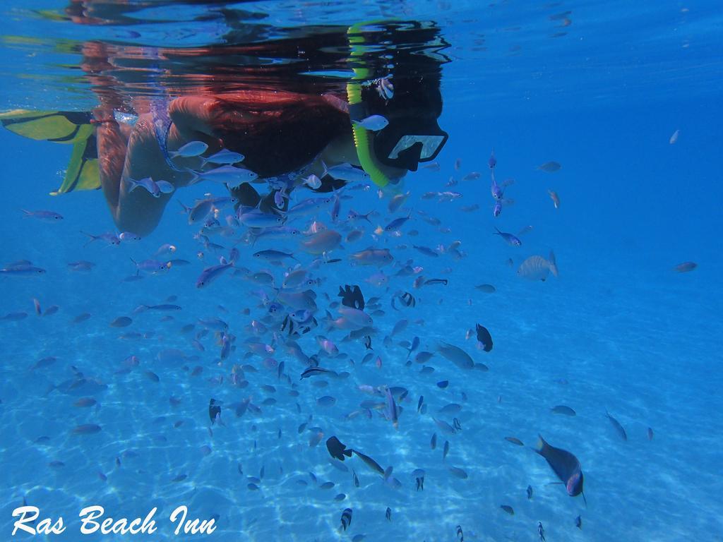 Rasdhoo Ras Beach Inn מראה חיצוני תמונה