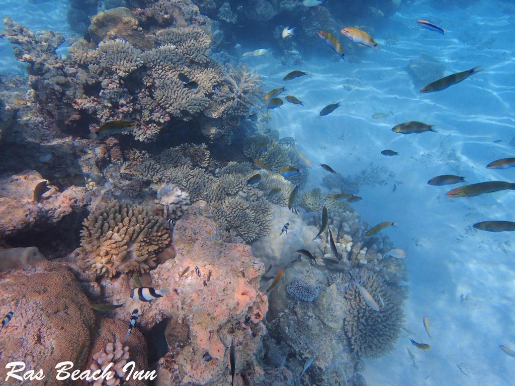 Rasdhoo Ras Beach Inn מראה חיצוני תמונה