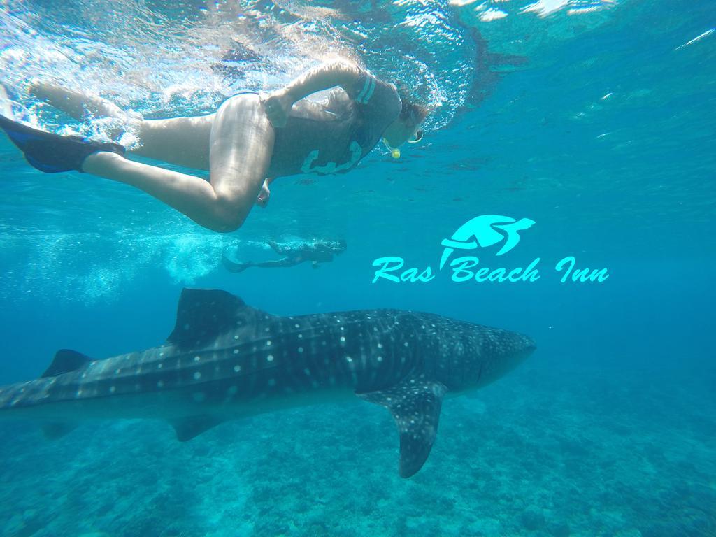 Rasdhoo Ras Beach Inn מראה חיצוני תמונה